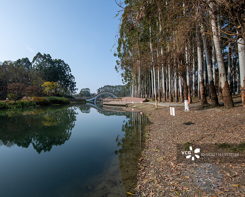 成都市郫都区三道堰青杠树景区香脂湖公园图片素材