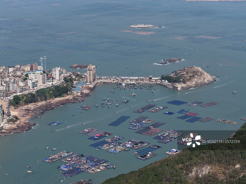 福建连江：“海上牧场”耕海忙图片素材