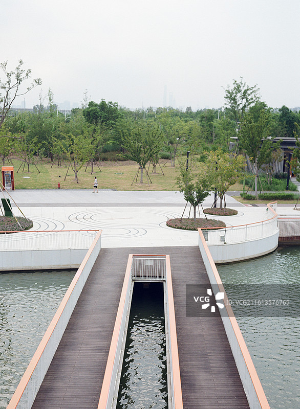 公园里的树和栈桥图片素材