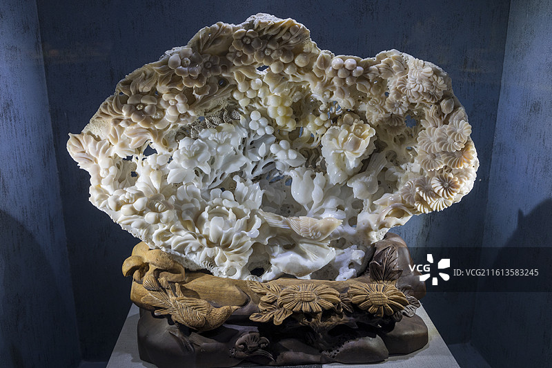 河南自然博物馆，砗磲图片素材