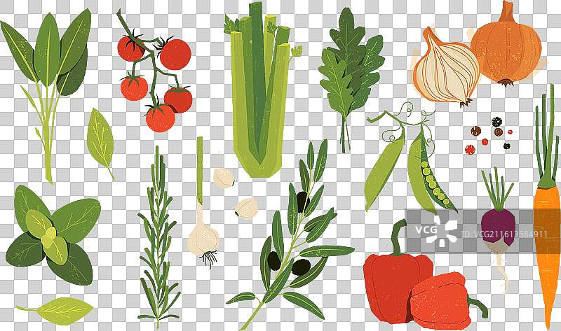 意大利蔬菜卡通食物食材手图片素材