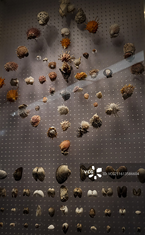 国家海洋博物馆图片素材