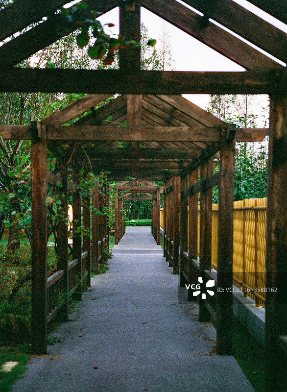 森林中树木丛中的空步道图片素材