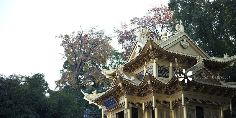 福建省漳州市七首岩寺文殊殿图片素材