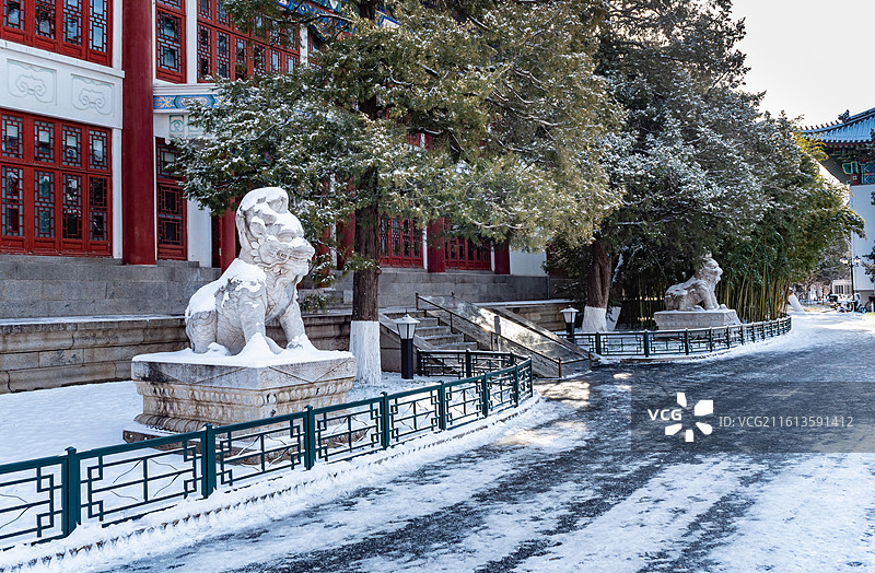 燕园文物：冬天雪后北京大学办公楼石麒麟图片素材