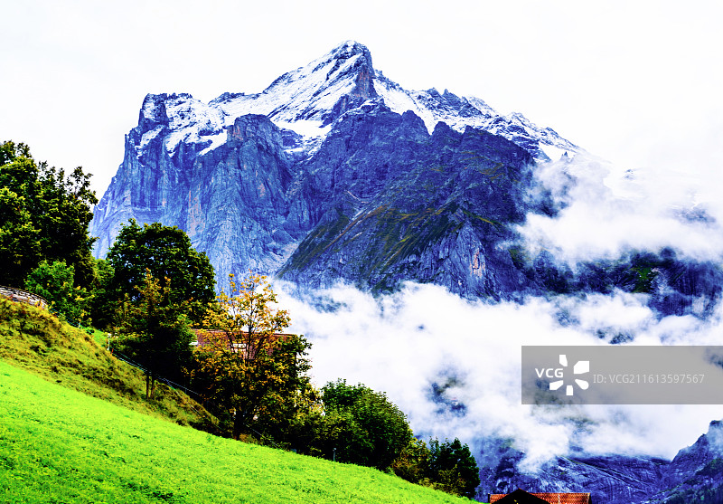 瑞士格林德瓦小镇  雪山下的风景 红色民居图片素材