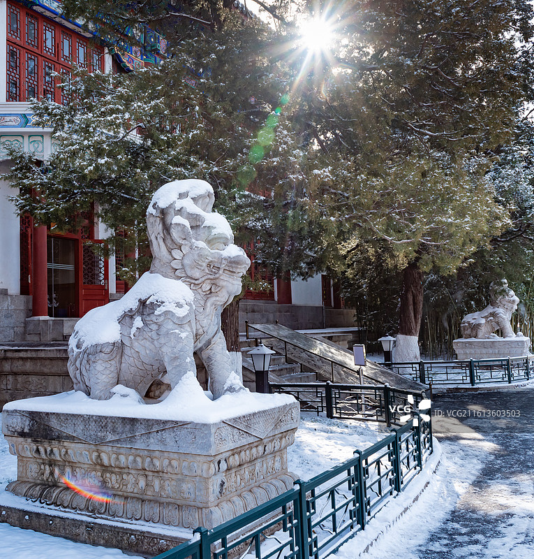 燕园文物：冬天雪后北京大学办公楼石麒麟图片素材