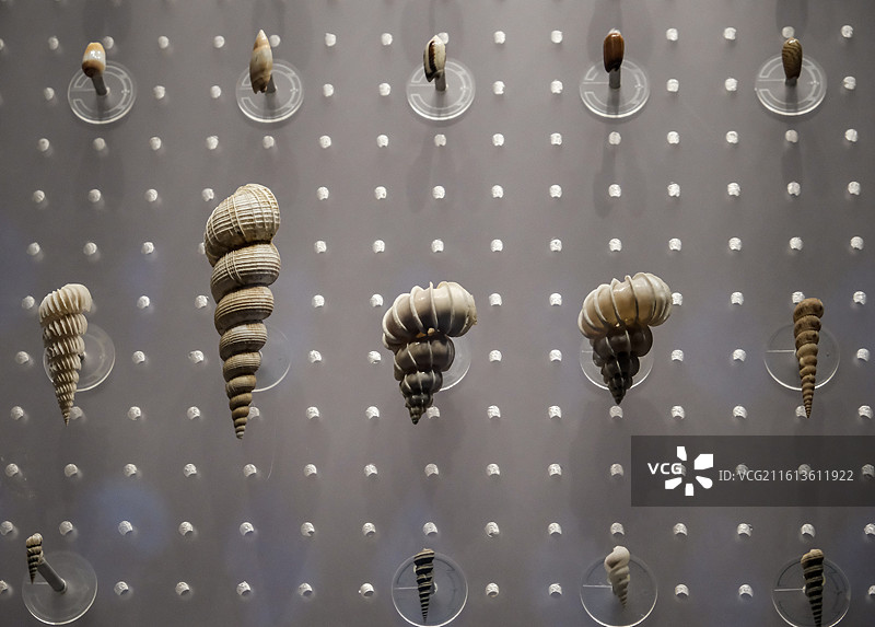 国家海洋博物馆图片素材