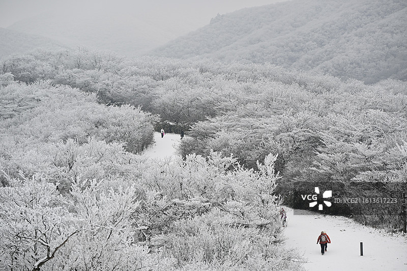 大雪后安吉龙王山雪景雾凇图片素材