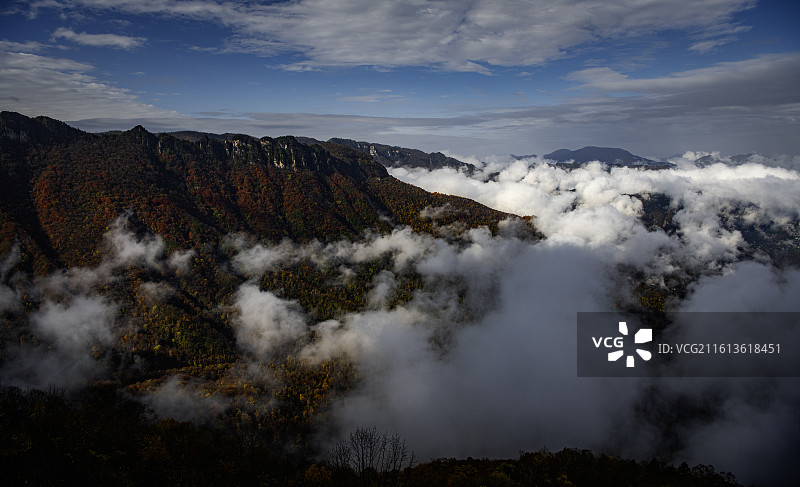 神农架天燕景区彩林与云海图片素材