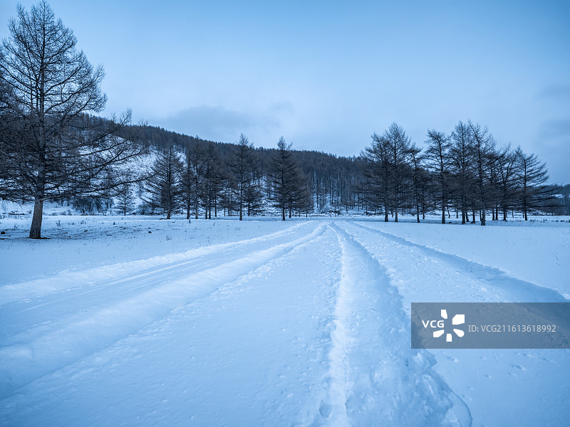 冬季阿尔山雪山上的车轮胎印，雪地轮胎印，雪地，汽车背景，汽车拉力赛，冬季，雪景图片素材