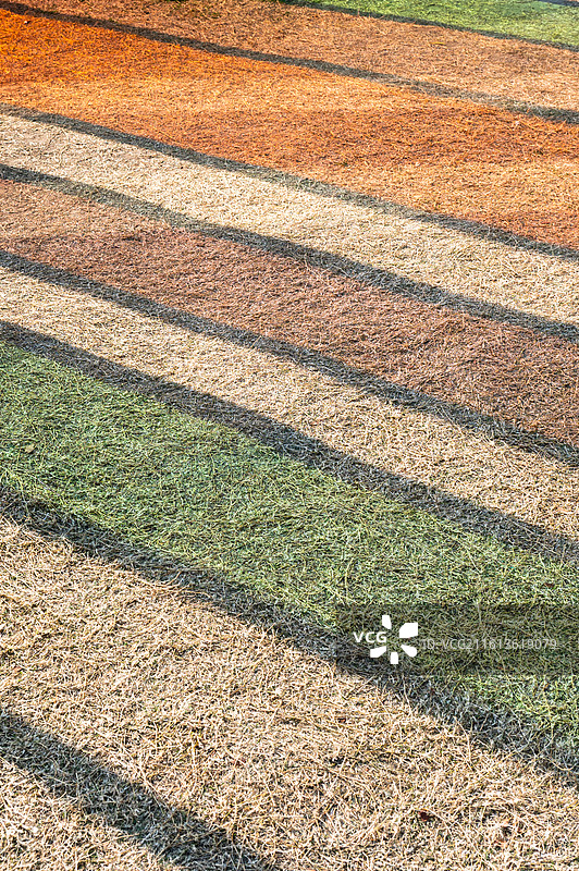 嘉兴南湖天地彩色玻璃图片素材