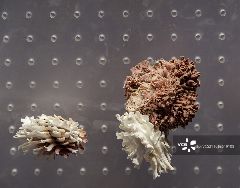 国家海洋博物馆图片素材