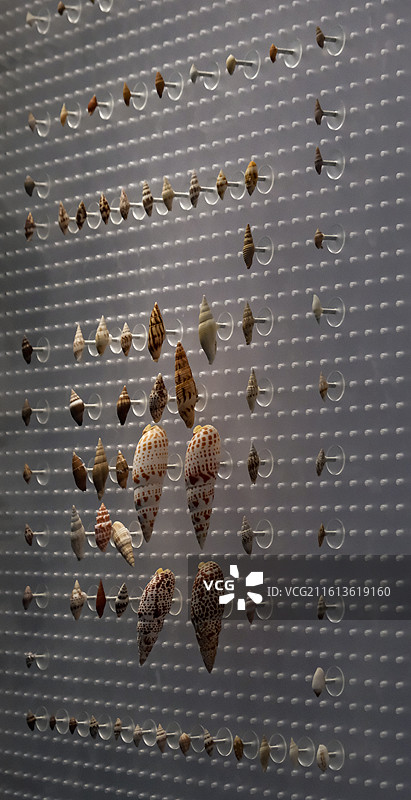 国家海洋博物馆图片素材