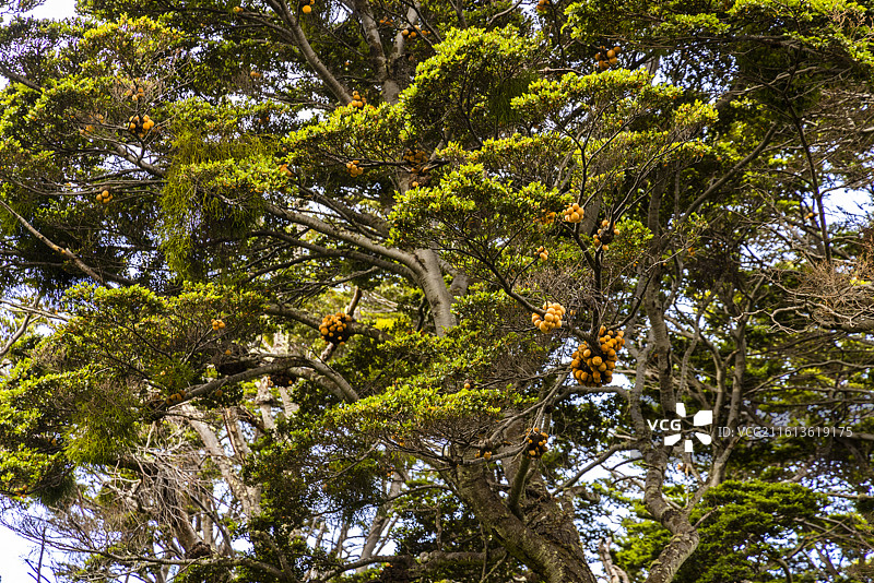 智利百内国家公园图片素材