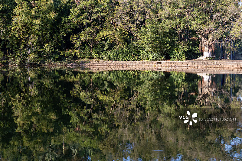 冬天宁静的广州大夫山森林公园落羽杉树木水中倒影自然风光图片素材
