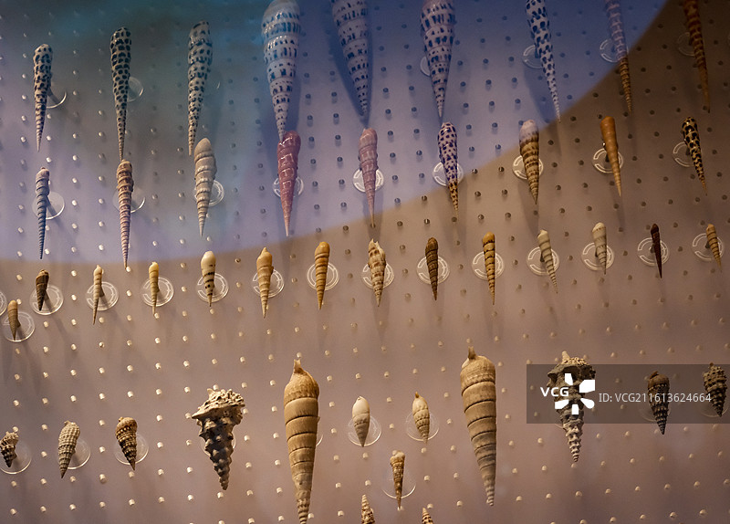 国家海洋博物馆图片素材