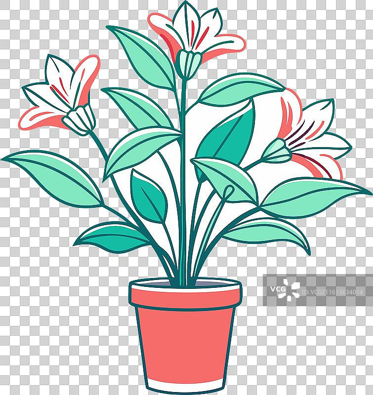 盆栽剪影的爱丽丝花图片素材