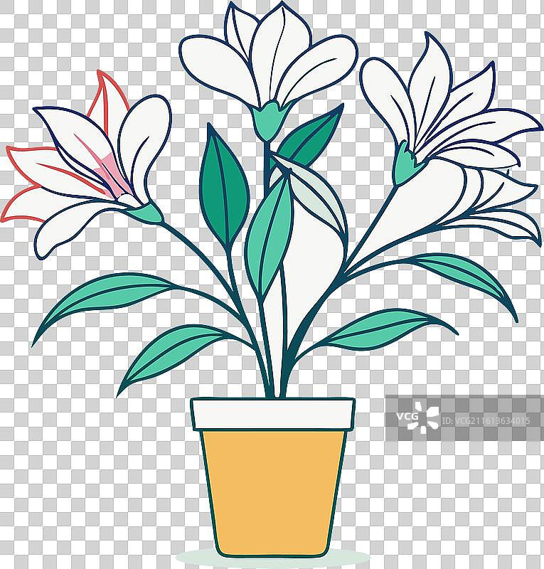 带花盆剪影的爱丽丝花图片素材