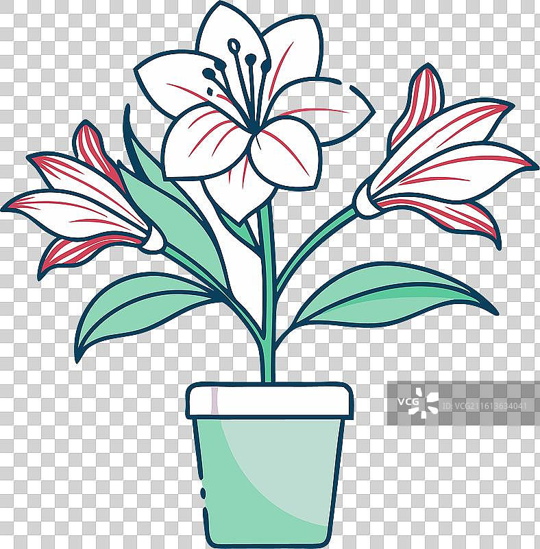 一盆花卉剪影的草海棠图片素材