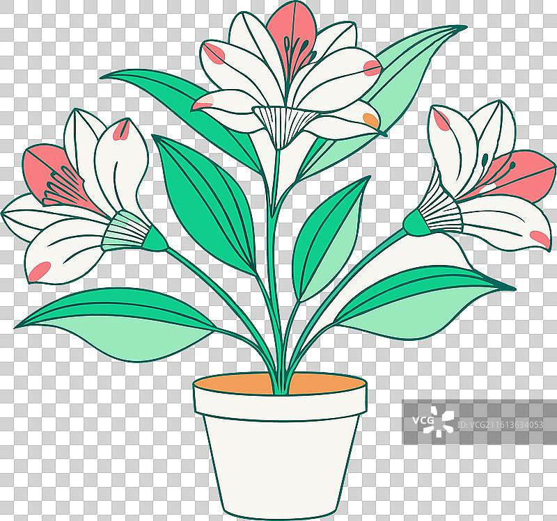 带盆栽剪影的草茑图片素材