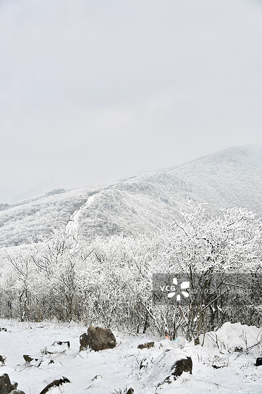 大雪后安吉龙王山雪景雾凇图片素材