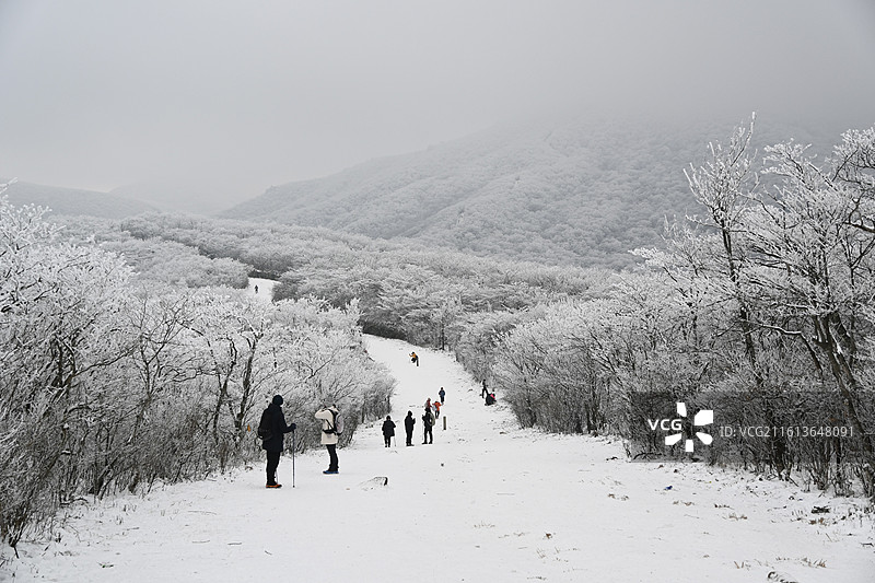 大雪后安吉龙王山雪景雾凇图片素材