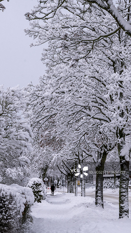 德国汉堡2026年大雪的小镇风景图片素材