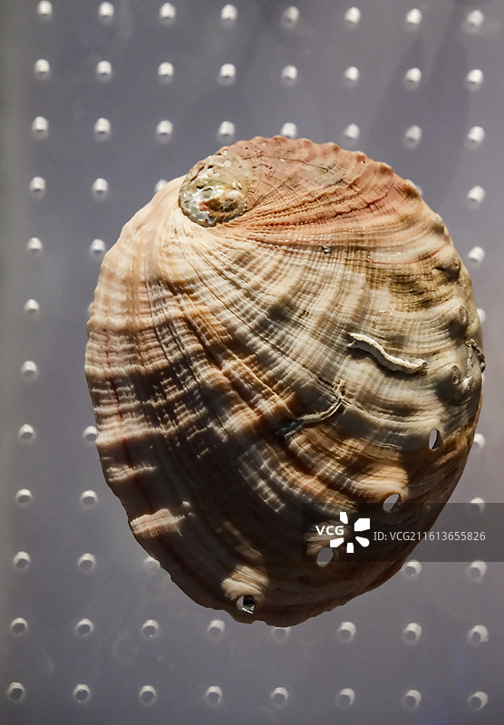 国家海洋博物馆图片素材