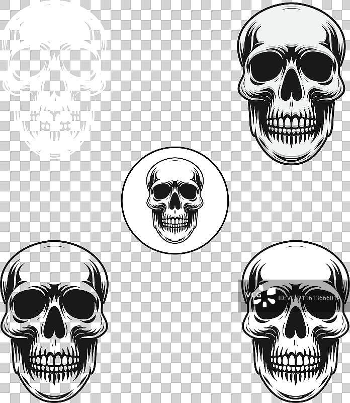 一组人类头骨剪影的绘画图片素材