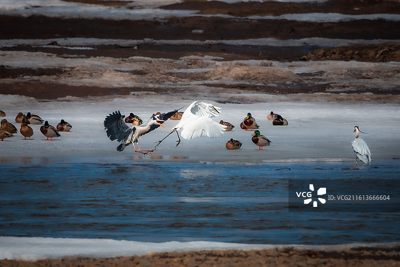 仓皇而逃图片素材