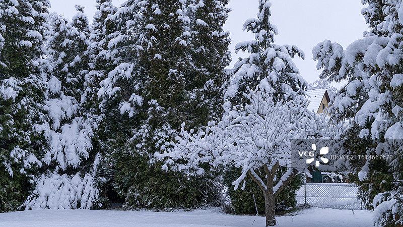 德国汉堡2026年大雪的小镇风景图片素材