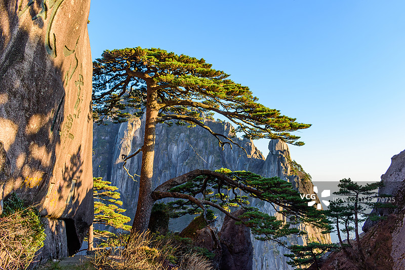 安徽黄山，迎客松。图片素材