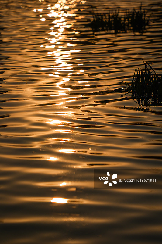 上海杨浦滨江日落黄昏晚霞落日夜景城市陆家嘴地标建筑风景图片素材