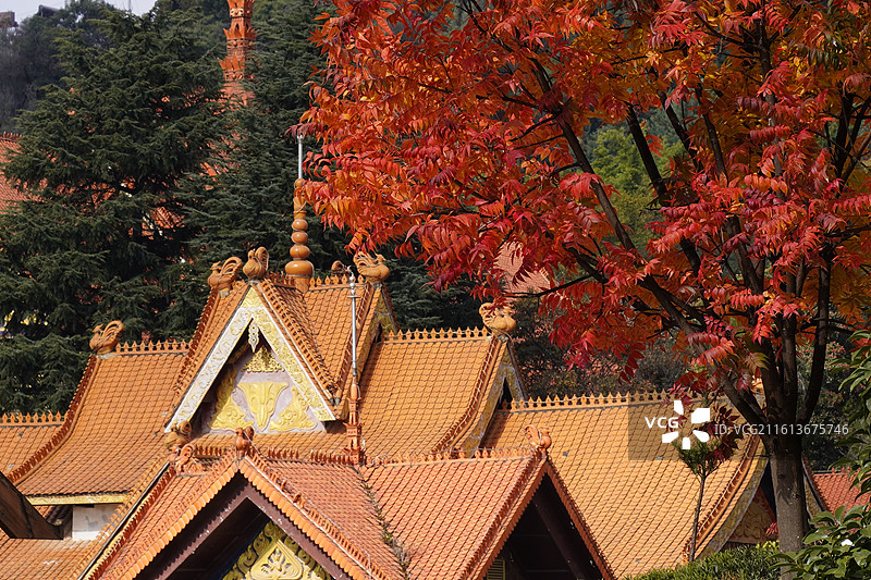 云南民族大观园图片素材