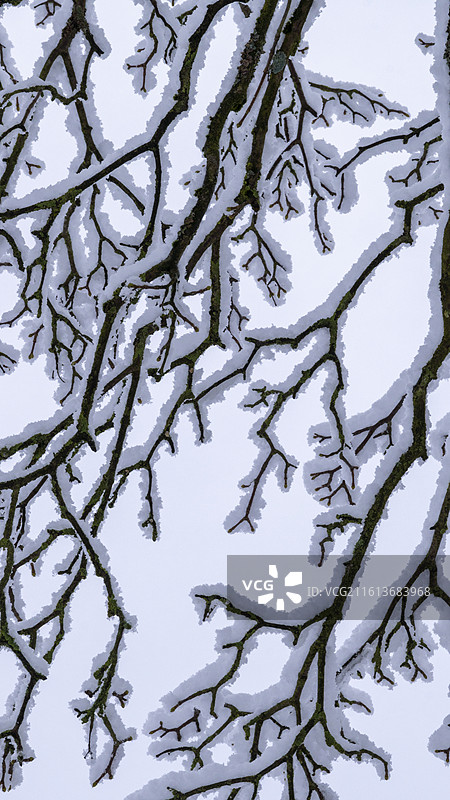 德国汉堡2026年大雪的小镇风景图片素材