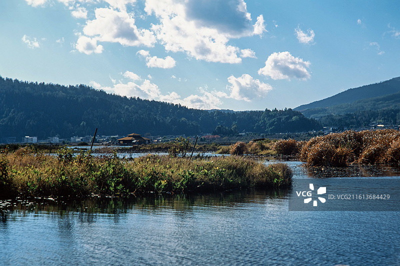 腾冲北海湿地公园（正片）图片素材