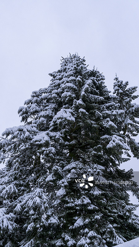 德国汉堡2026年大雪的小镇风景图片素材