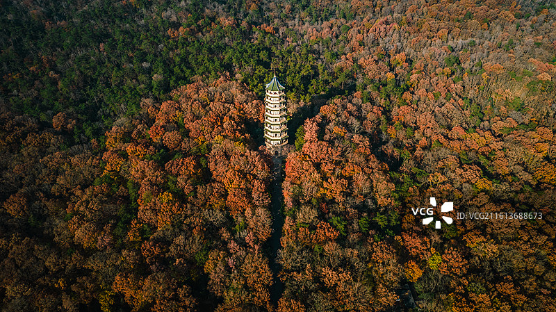 航拍秋天的江苏南京钟山风景名胜区灵谷寺灵谷塔风光图片素材