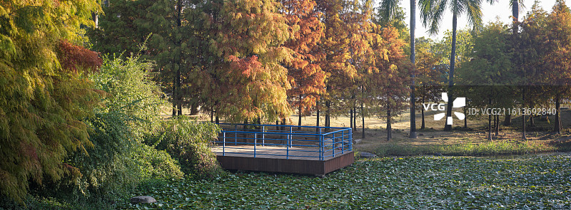 福建厦门园博苑秋日湖畔的观景平台图片素材