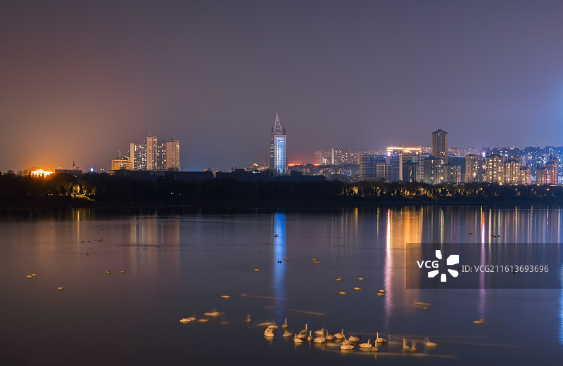 河南省三门峡市天鹅湖湿地公园夜景图片素材