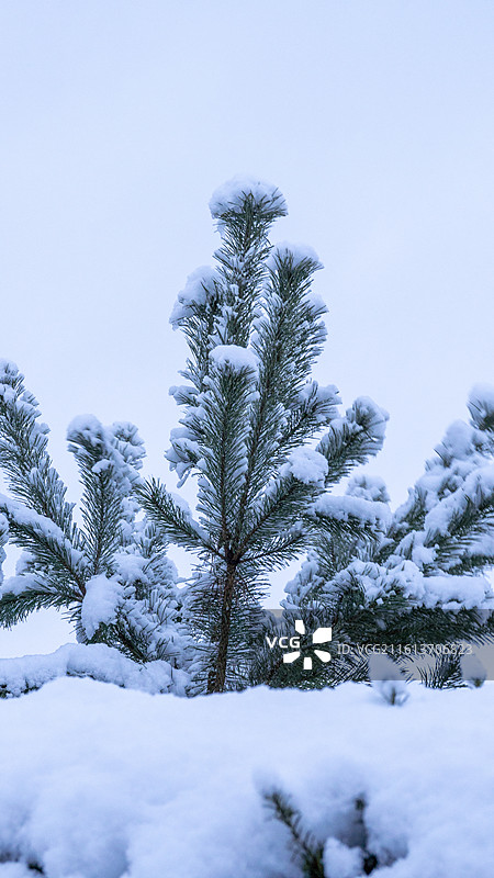德国汉堡2026年大雪的小镇风景图片素材
