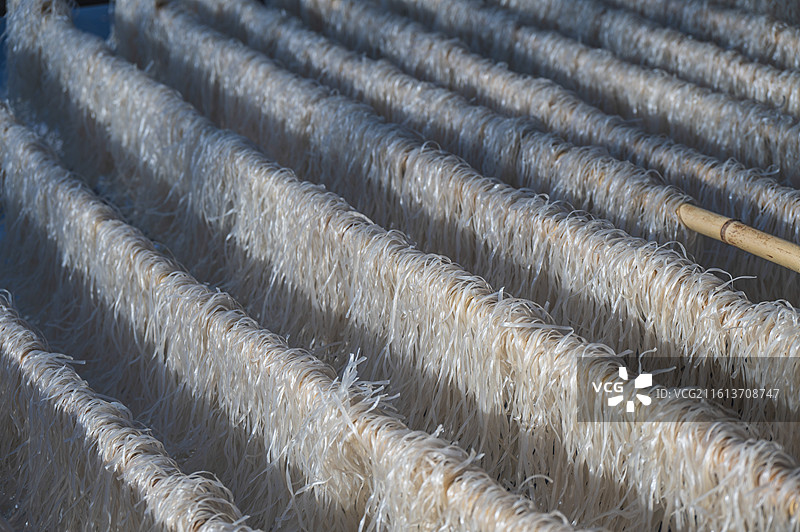 安徽合肥肥西三河古镇景区：满屏斑驳日光下晾晒在竹竿上的米粉图片素材