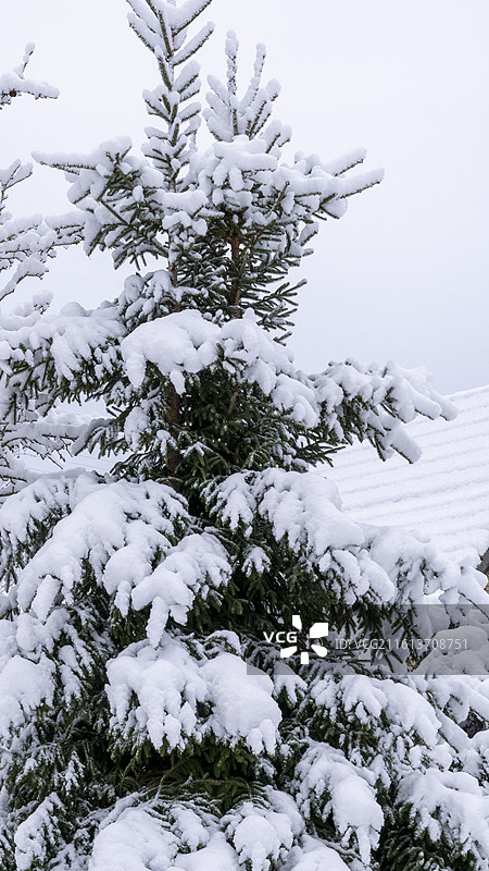 德国汉堡2026年大雪的小镇风景图片素材