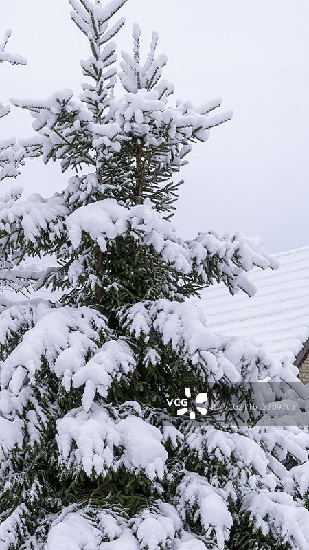德国汉堡2026年大雪的小镇风景图片素材