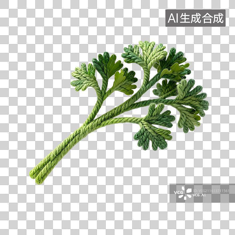 【AI数字艺术】创意绳编欧芹装饰花束图片素材