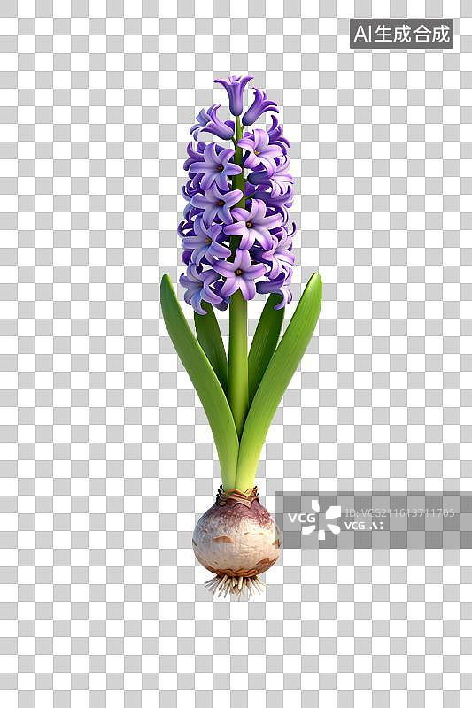 【AI数字艺术】3D渲染紫色风信子花朵图片素材