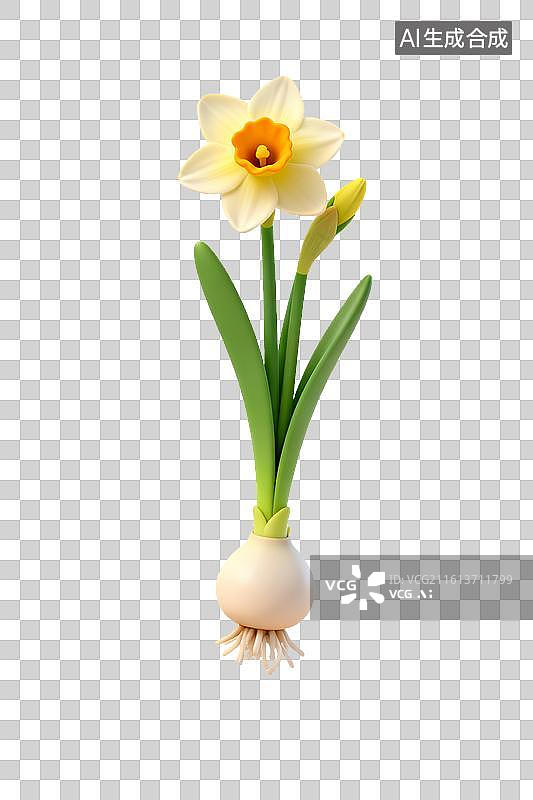 【AI数字艺术】水仙花与球茎图片素材
