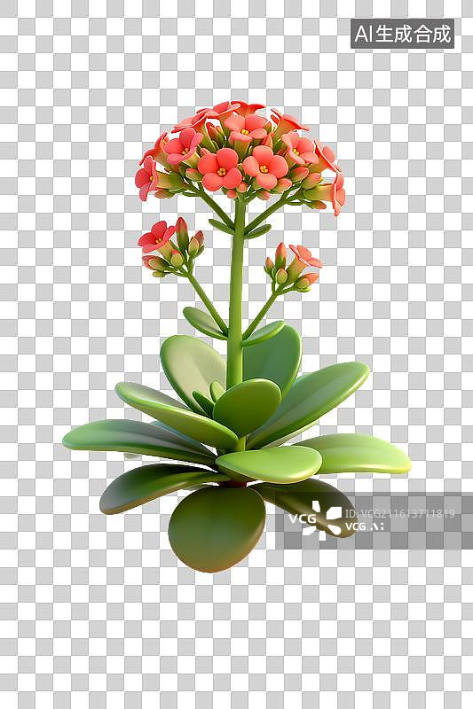 【AI数字艺术】粉色长寿花3D渲染图图片素材