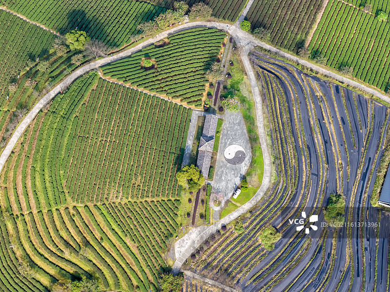 广西大明山茶园景区环大明山旅游风景道上林段世界长寿乡霞客眷恋地图片素材